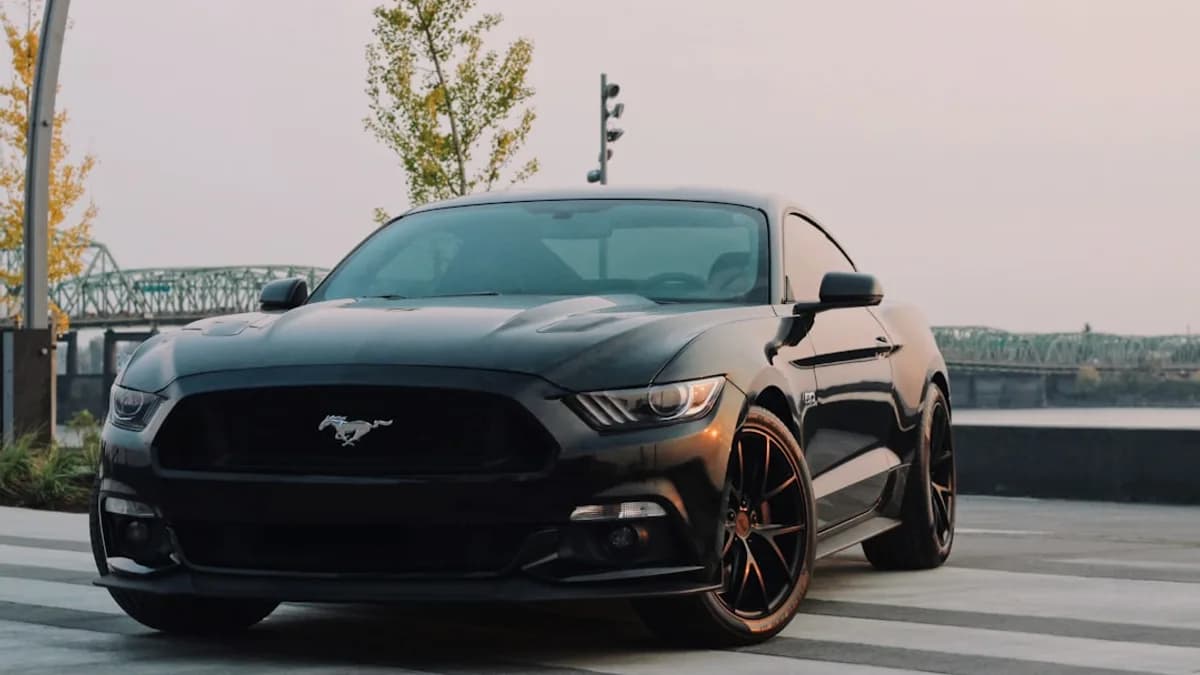 black Ford Mustang coupe parked near green tree