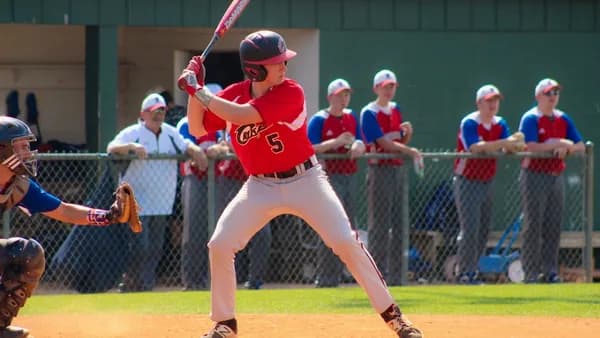baseball playing posing to hit ball