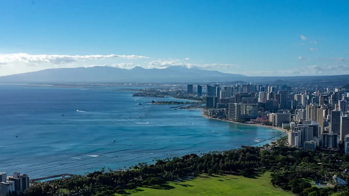 green grass field near body of water during daytime