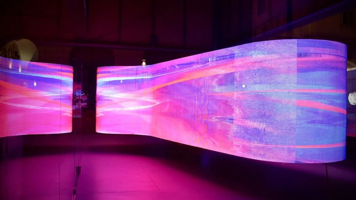 blue and pink textile on pink surface