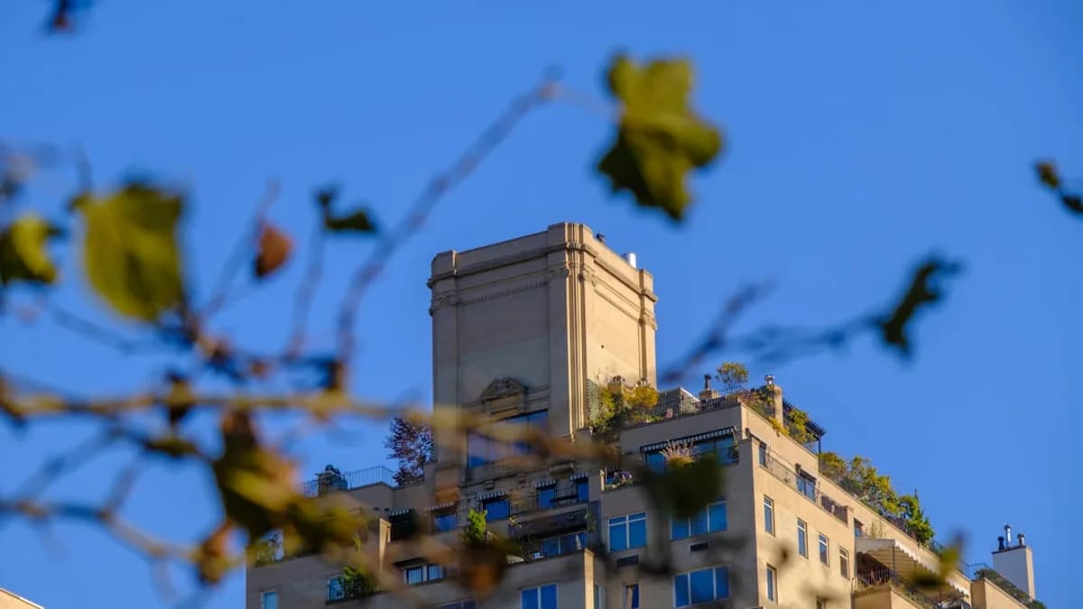 Building with rooftop plants against clear blue sky.