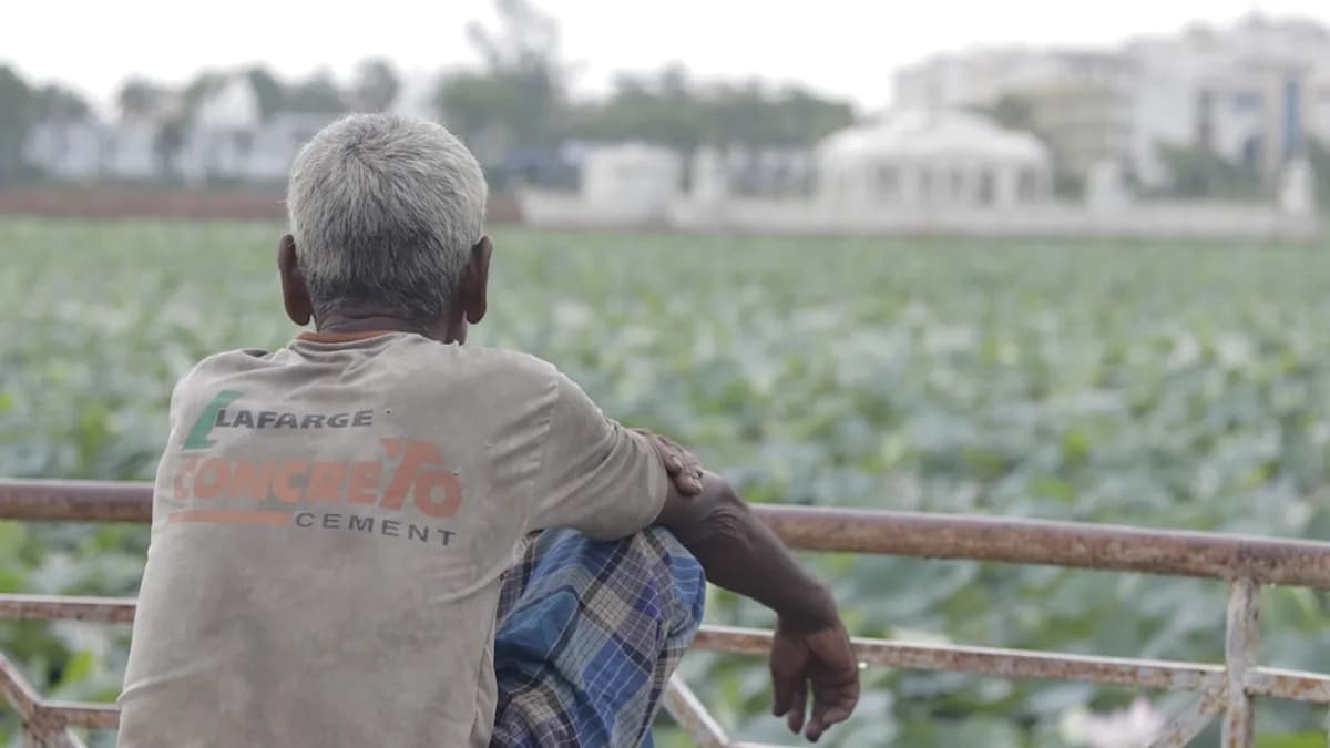 man in gray crew neck t-shirt and blue and white plaid shorts standing on brown