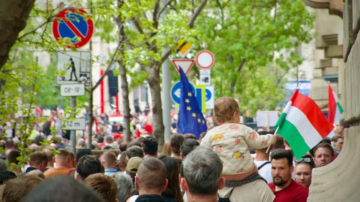 a crowd of people walking down a street
