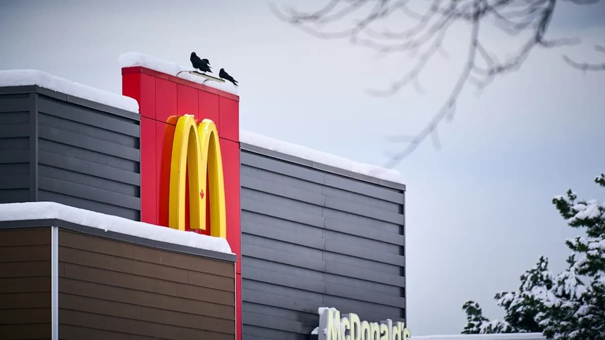 A mcdonald's restaurant with a bird sitting on top of it