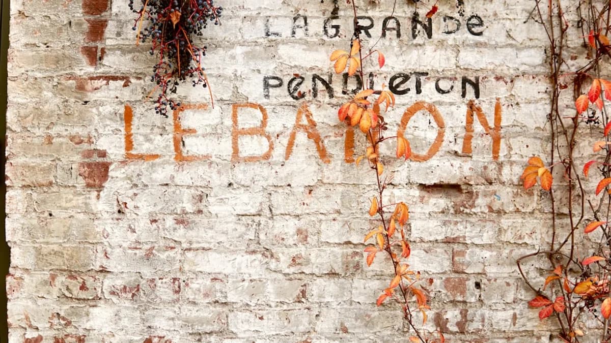 red and brown leaves on white brick wall