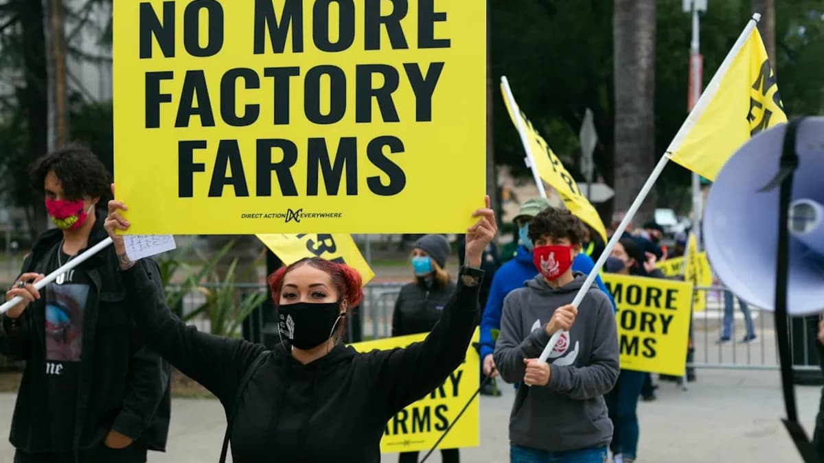 man in black jacket holding yellow and black banner
