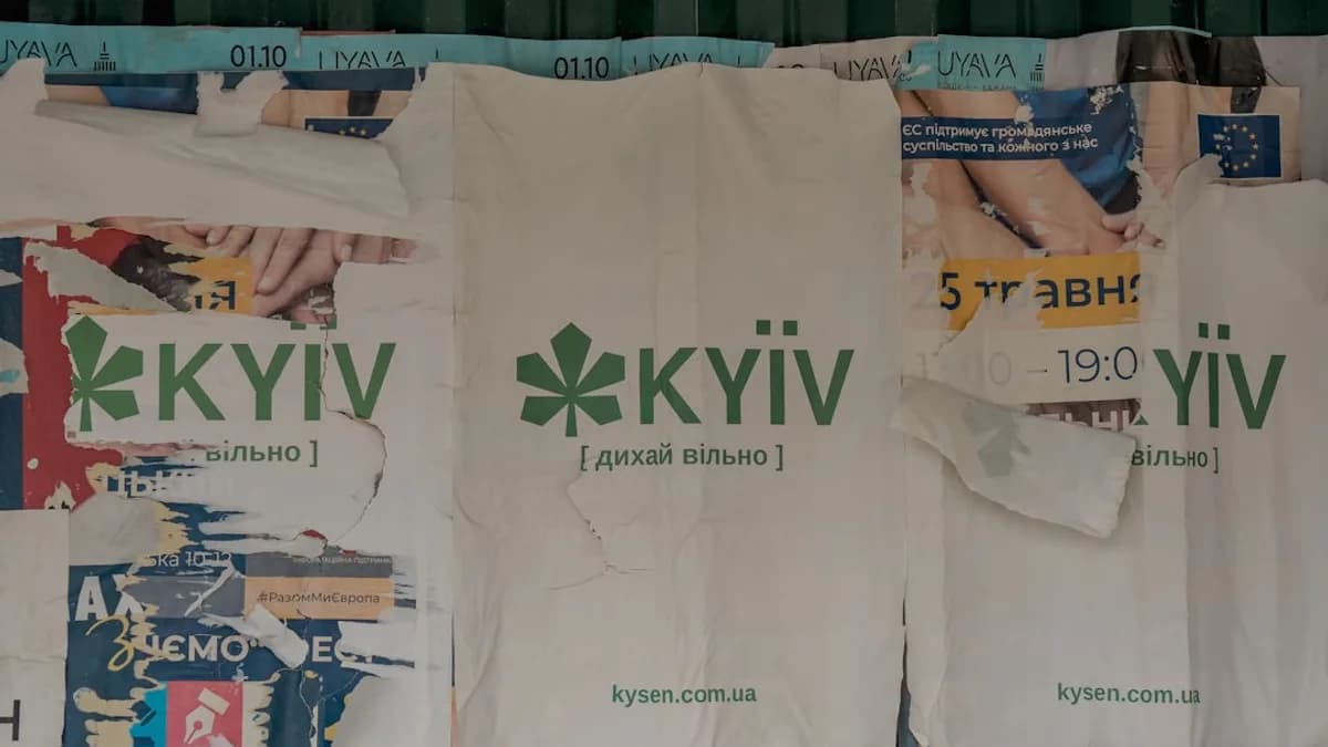 A bunch of t shirts hanging on a wall