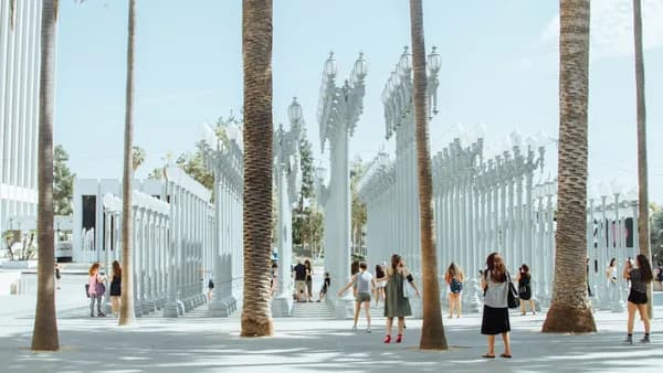 people under coconut tree during daytime