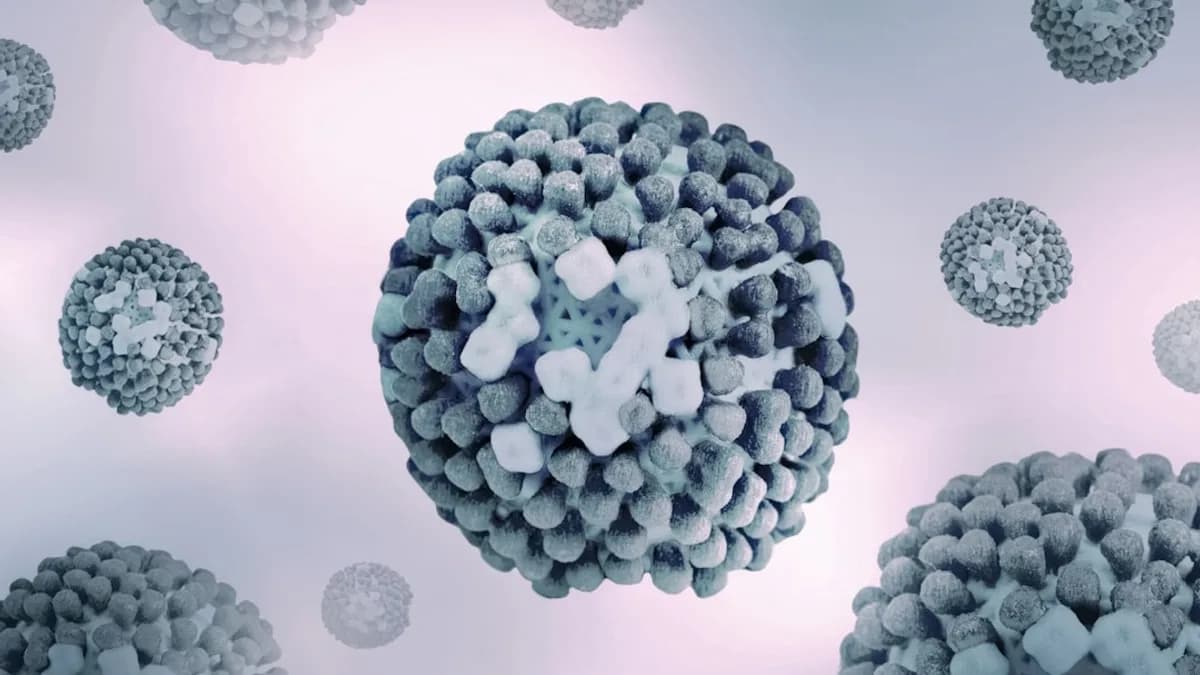 a close up of a bunch of balls of stuff