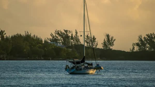 a sailboat in the water with trees in the background