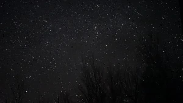 white stars at night