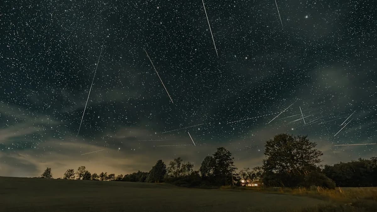 a night sky filled with stars and shooting stars