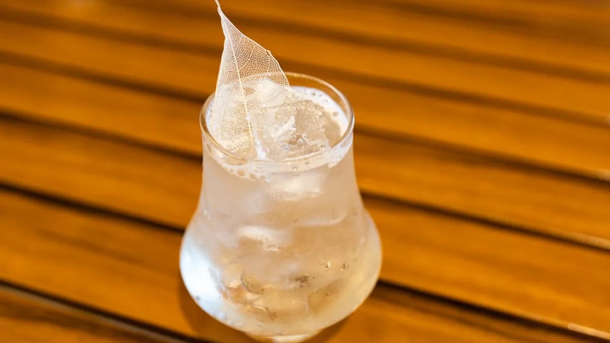A clear drink with ice and a leaf garnish.