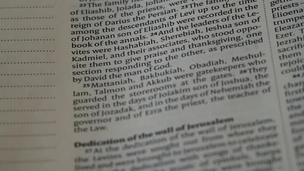 a close up of a text on a book