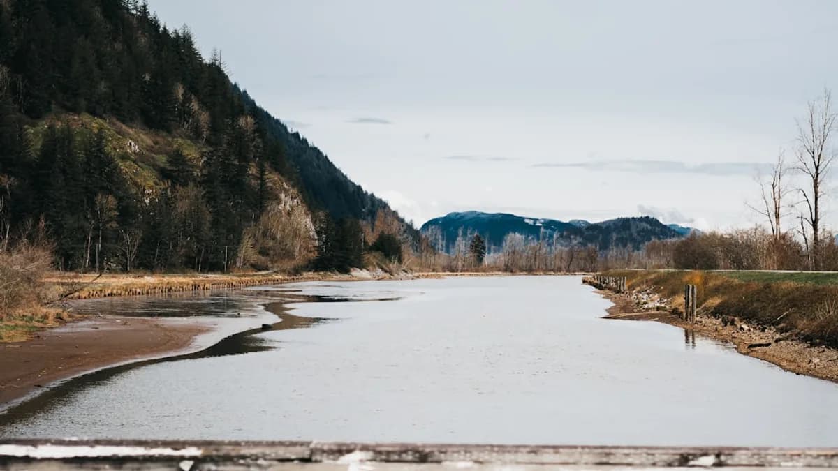 green trees on snow covered ground during daytime