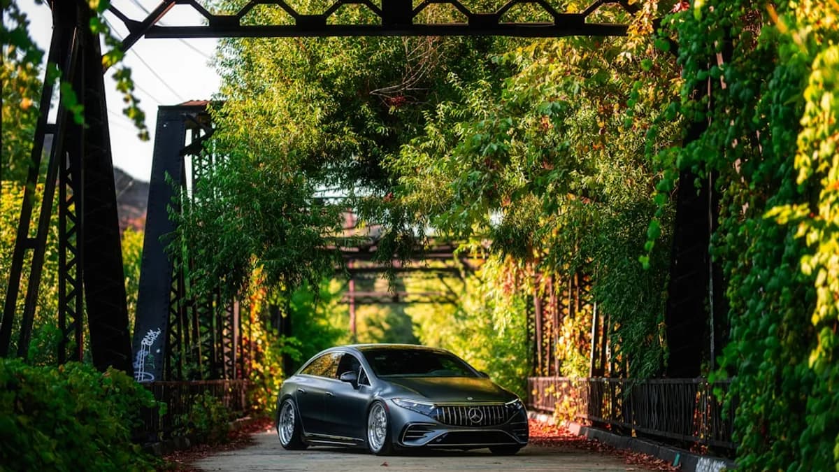 A dark car drives under a bridge covered in vines.