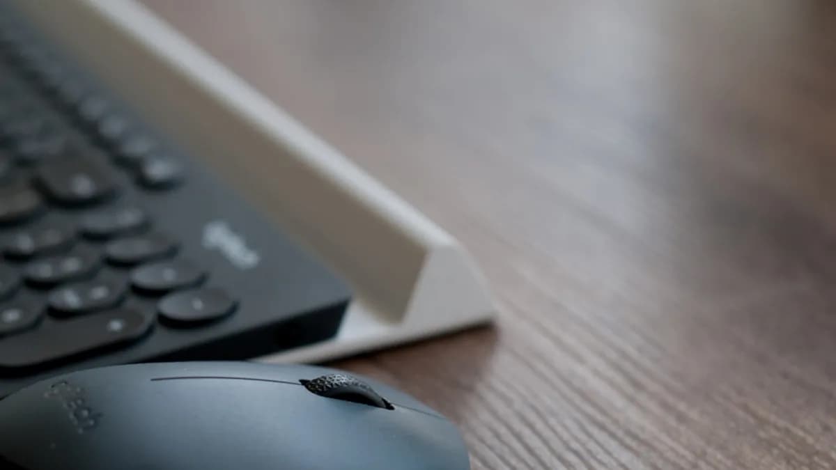 a computer mouse sitting next to a keyboard