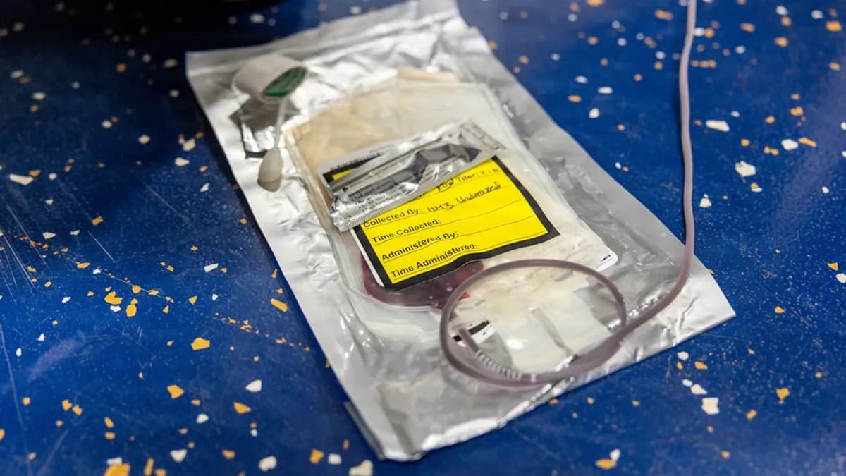 A sealed bag of blood with a tube attached.