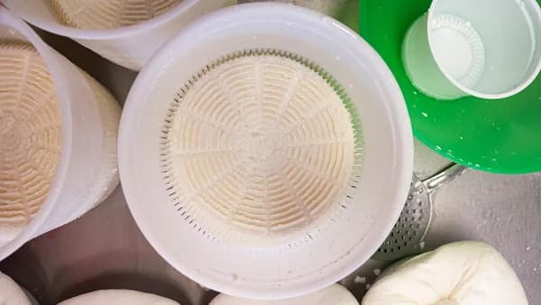 a bunch of food that is sitting on a table