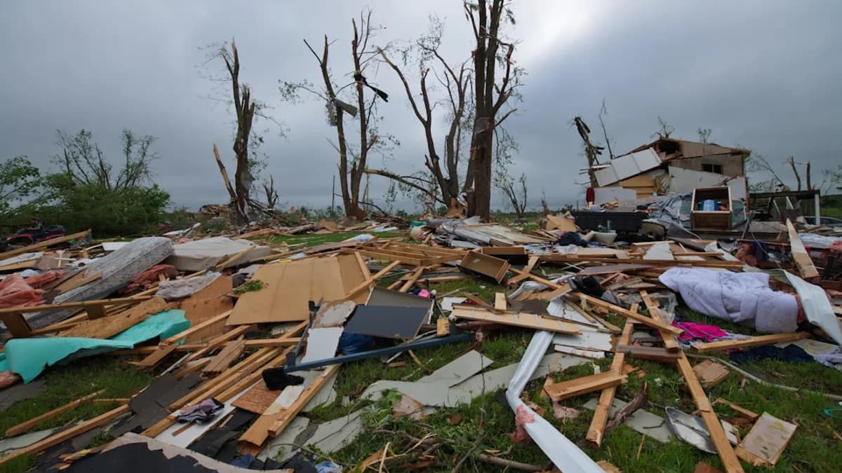 a pile of debris sitting on top of a lush green field