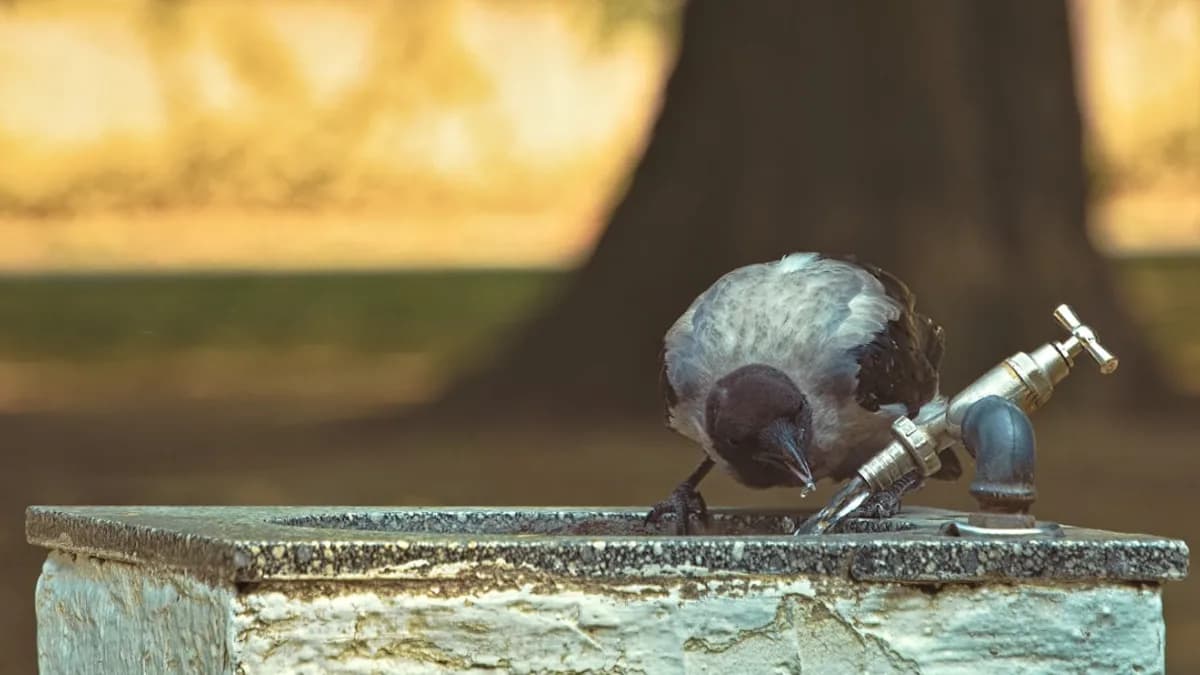 a bird sitting on top of a cement structure