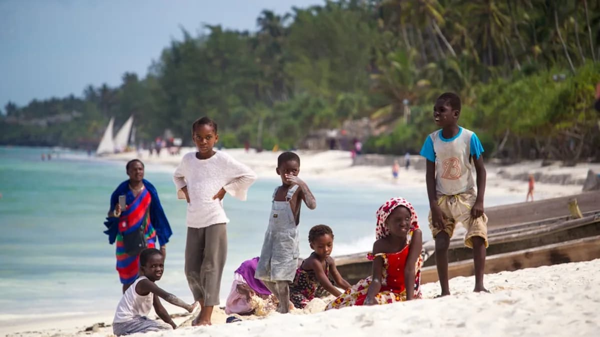 people on beach during daytime