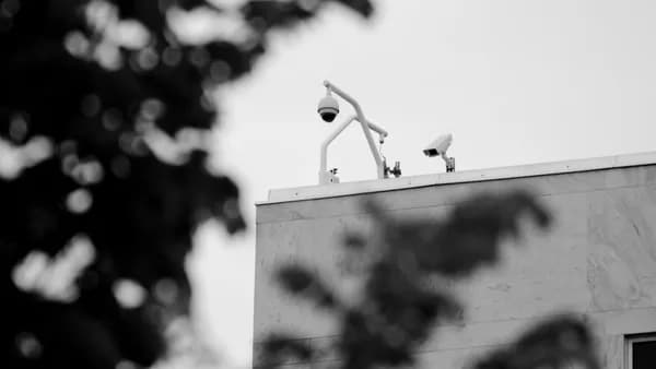 white bird on white concrete wall during daytime