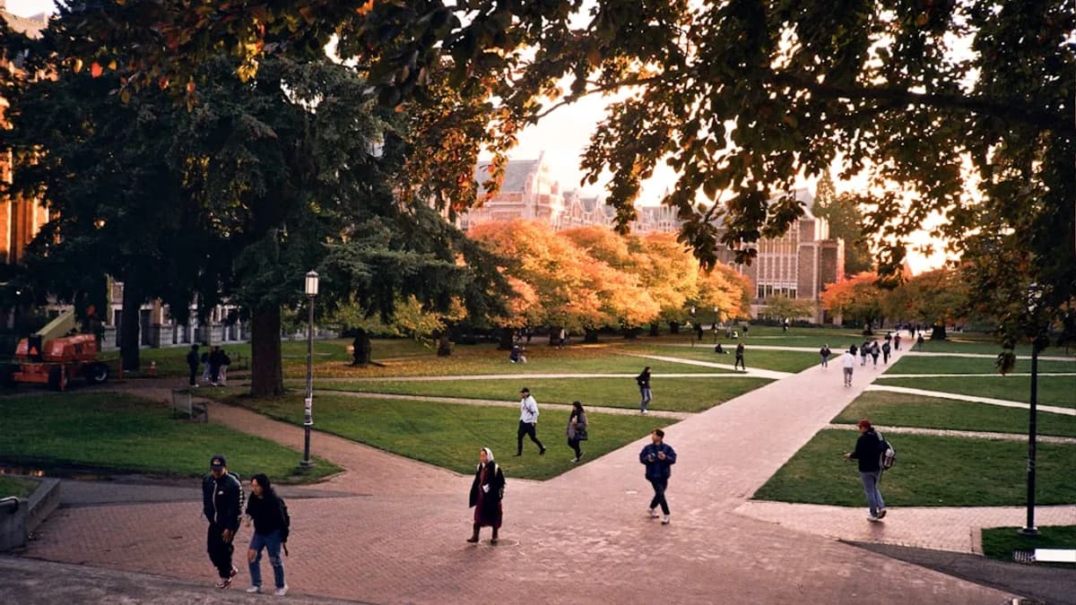 people walking on a path in a park