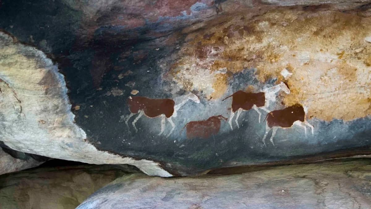 brown and white abstract painting