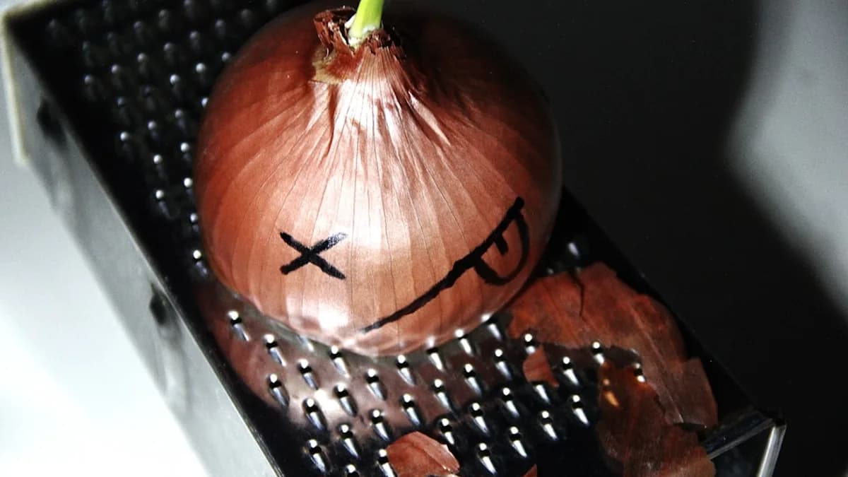 A bag of onions with a face drawn on it