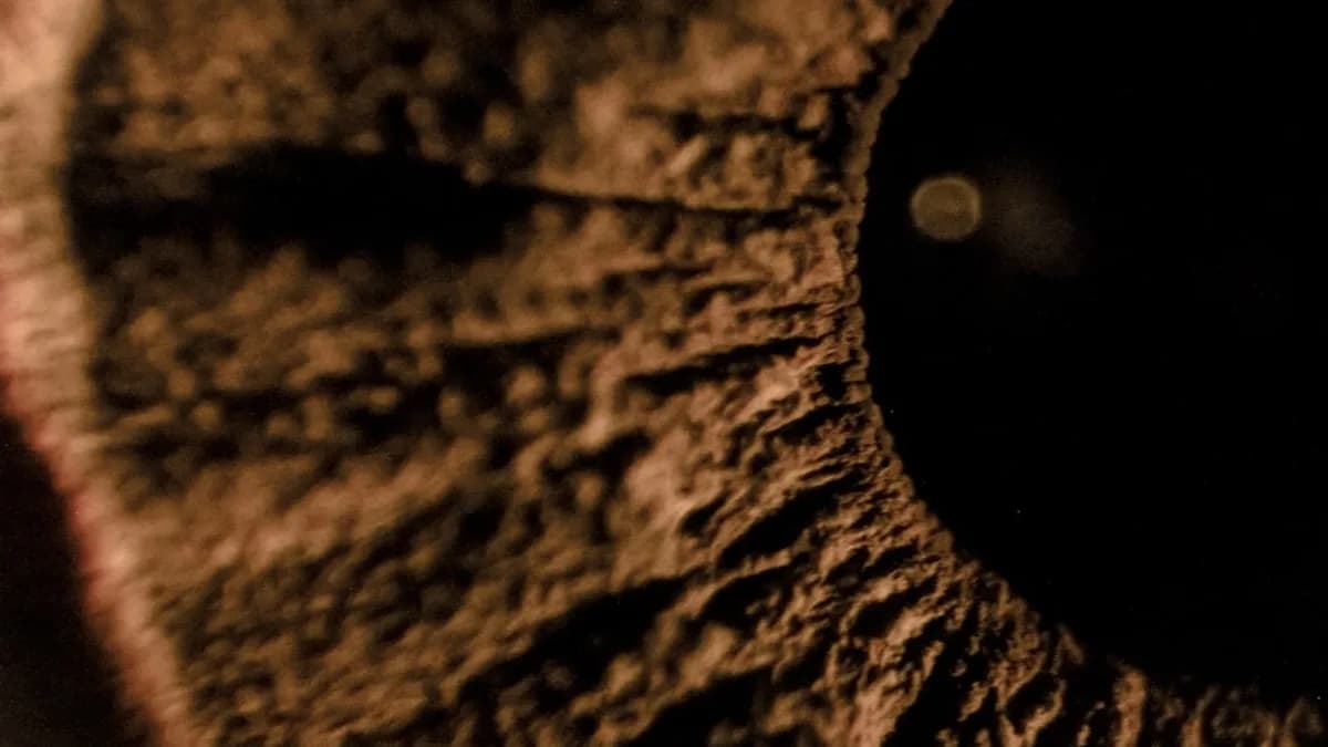 black and brown round textile