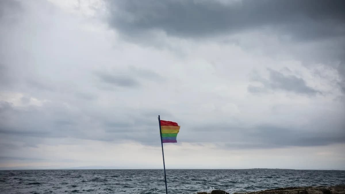 a rainbow flag sticking out of the rocks near the ocean