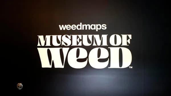 weedmaps museum of weed text