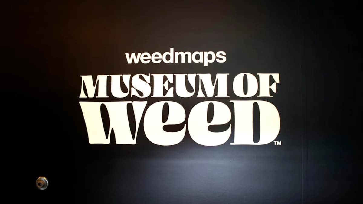 weedmaps museum of weed text