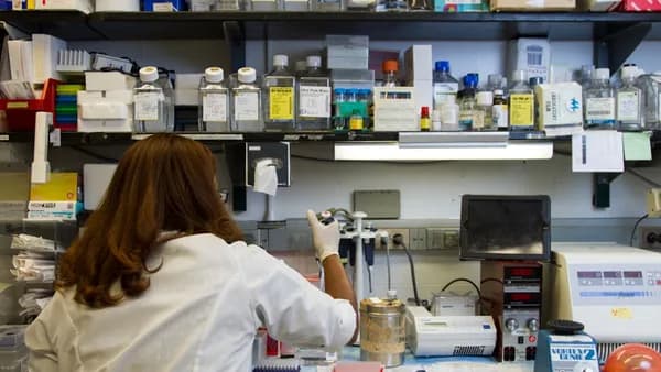 woman in white long sleeve shirt holding silver and black metal tool