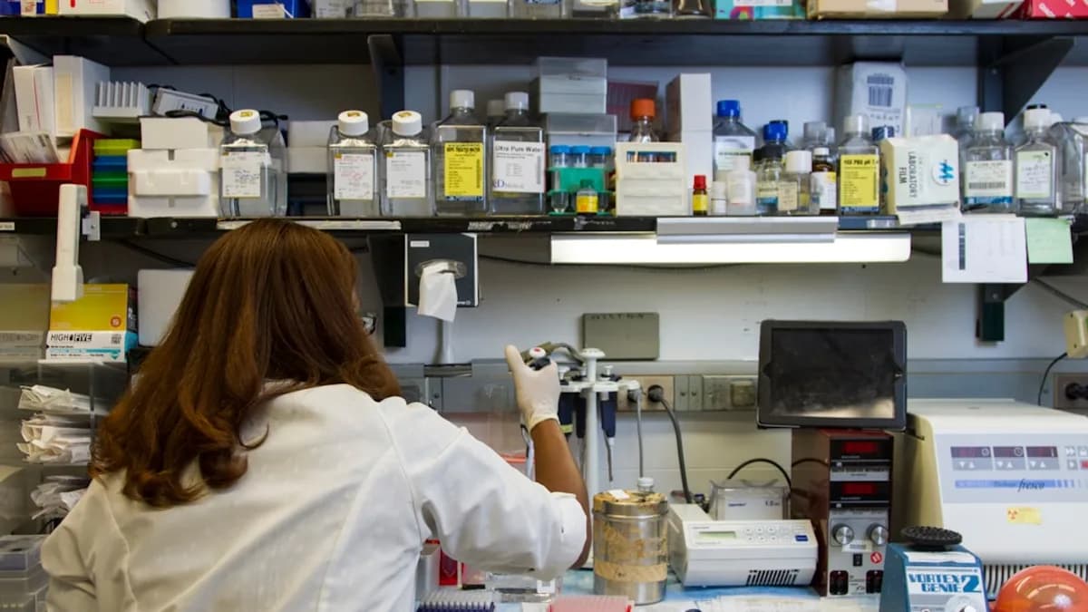 woman in white long sleeve shirt holding silver and black metal tool