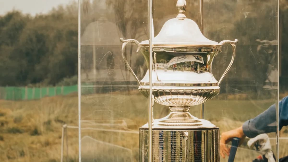 gray stainless steel trophy