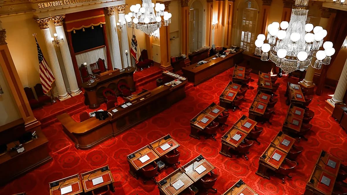 brown wooden chairs inside room