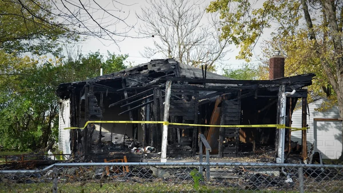 black and brown train near bare trees during daytime
