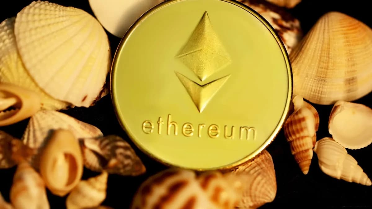 a gold ether coin surrounded by shells