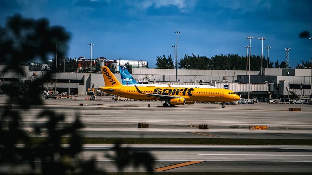 A yellow and blue plane is on the runway