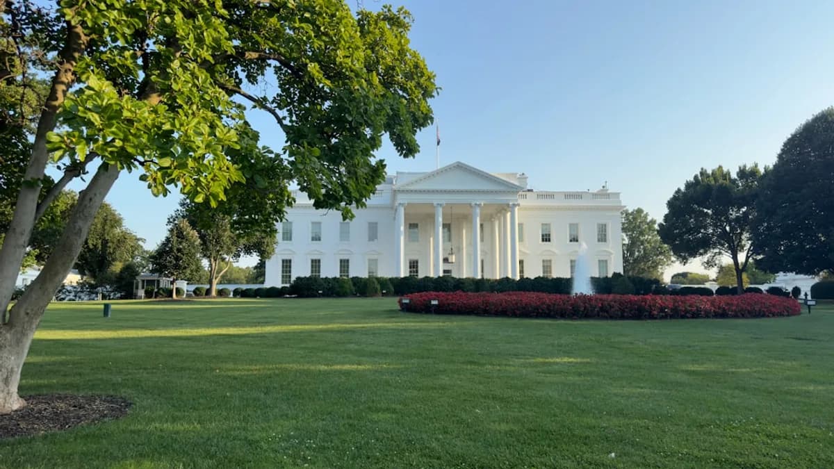 The white house with green lawn and trees