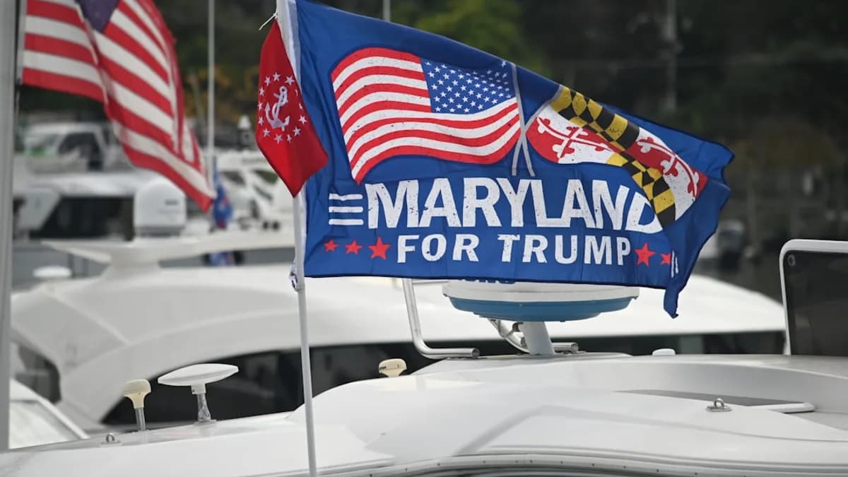us a flag on white car