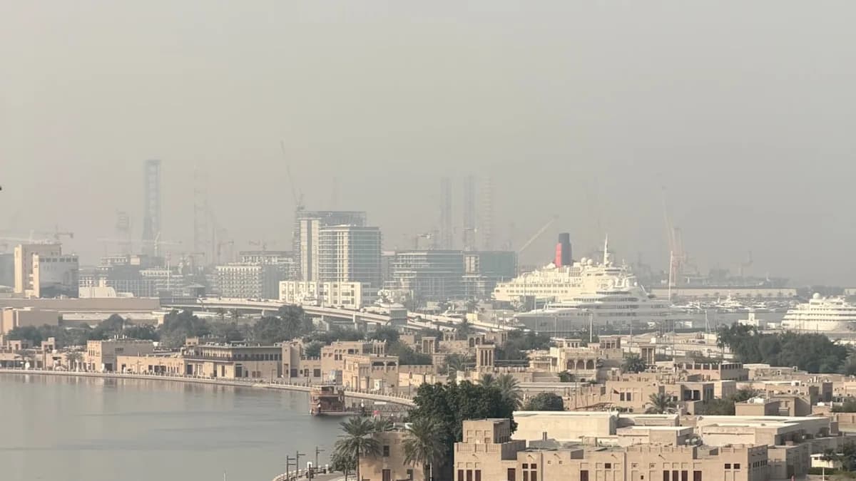 A hazy cityscape with a large white ship docked.