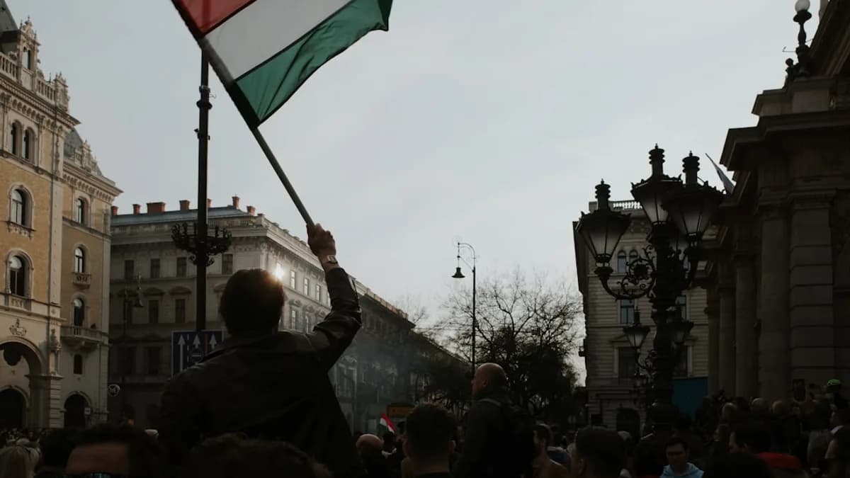 a man holding a flag in a crowd of people