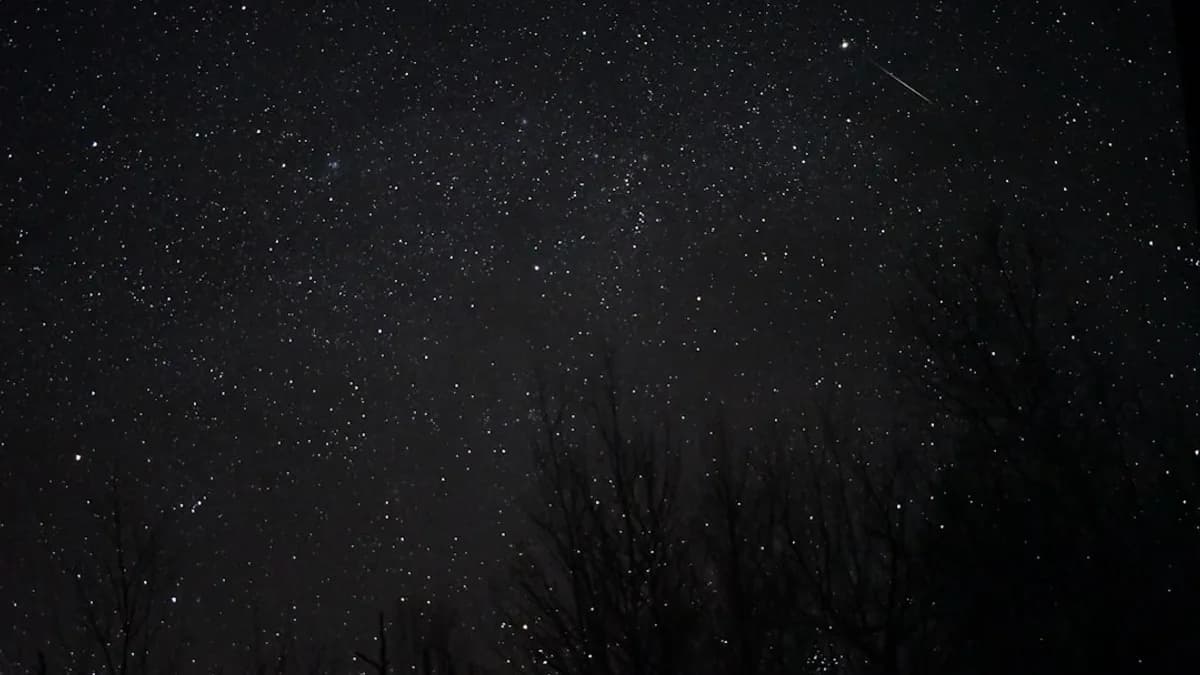 white stars at night