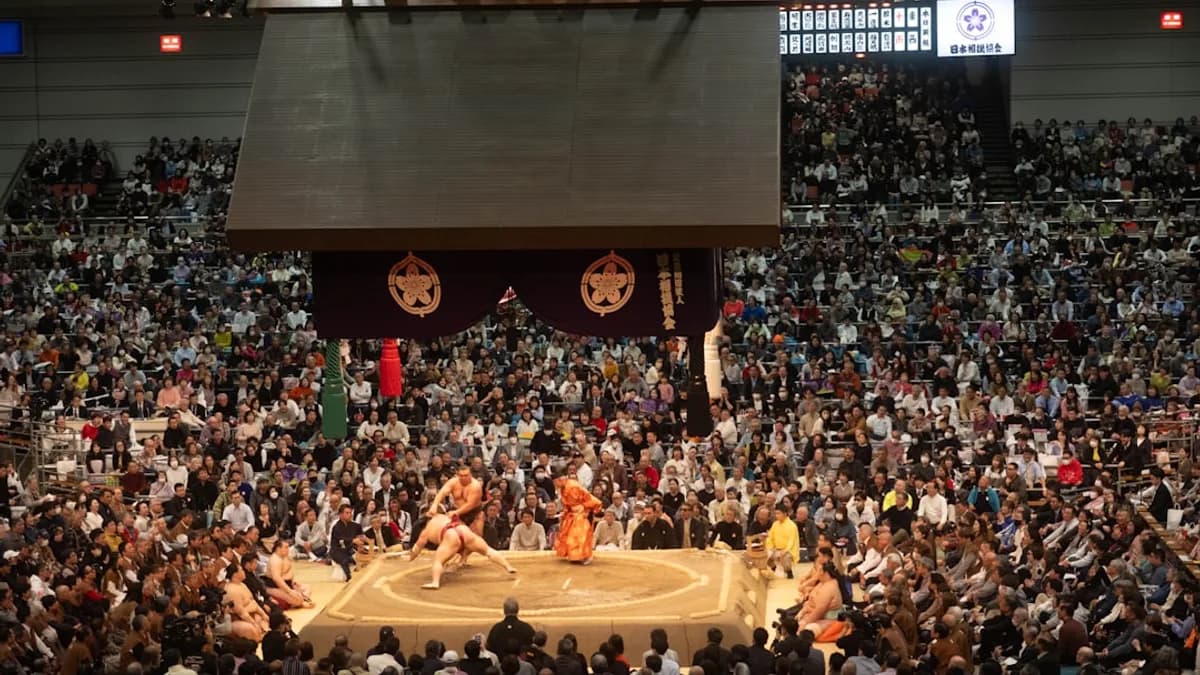 Sumo wrestlers compete in a packed arena.