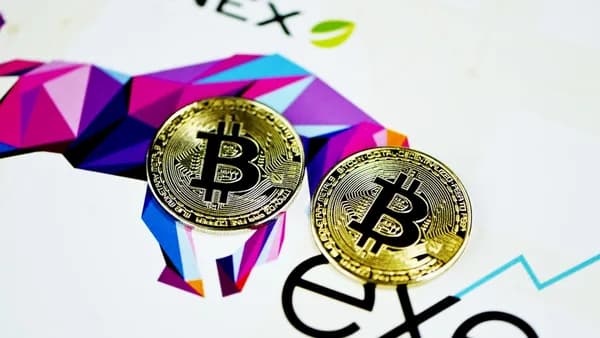 gold and purple round coins