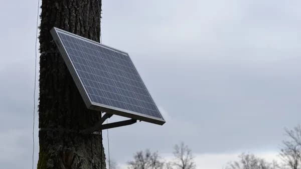 a solar panel attached to a tree