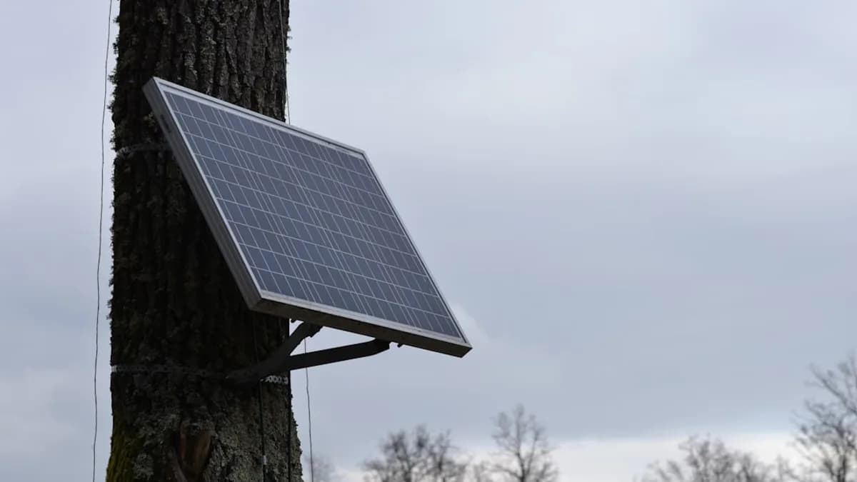 a solar panel attached to a tree